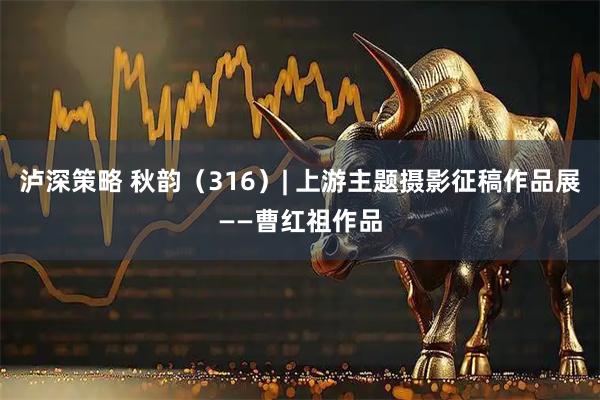 泸深策略 秋韵（316）| 上游主题摄影征稿作品展——曹红祖作品